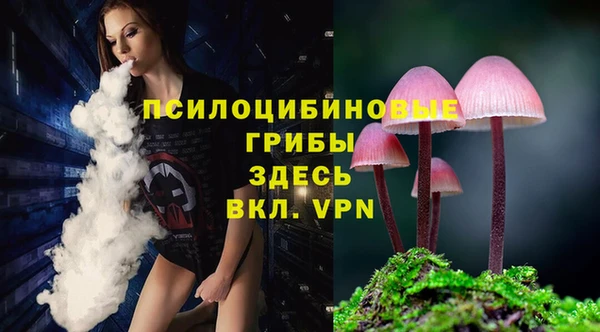 COCAINE Вяземский
